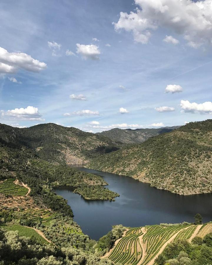 Quinta Vila Rachel - Winery Sao Mamede de Ribatua Kültér fotó