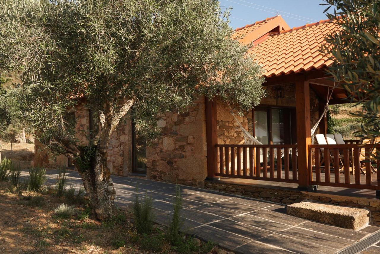 Quinta Vila Rachel - Winery Sao Mamede de Ribatua Kültér fotó