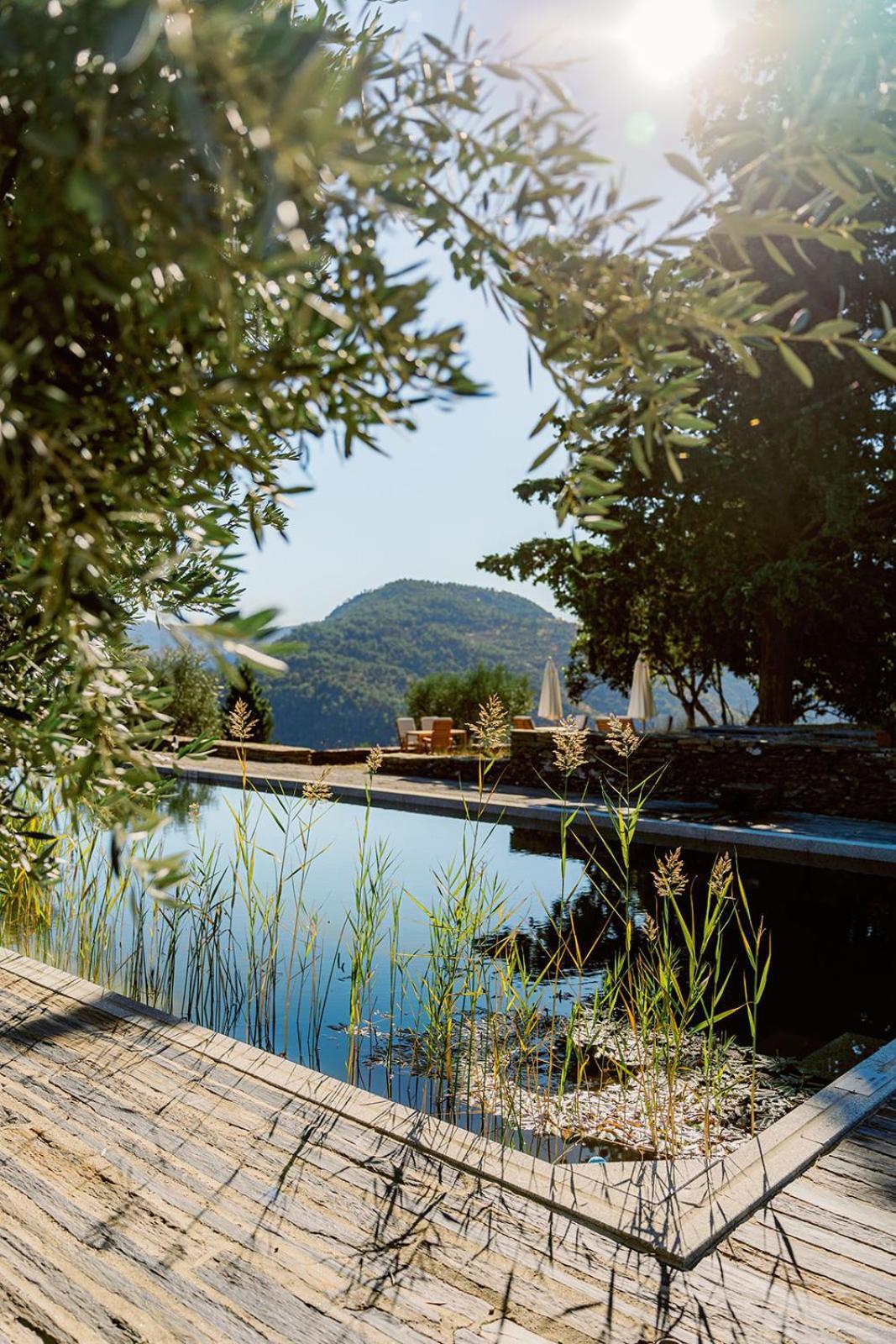 Quinta Vila Rachel - Winery Sao Mamede de Ribatua Kültér fotó